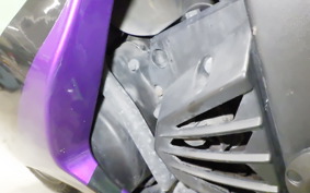 KAWASAKI NINJA 250R 2019 EX250K