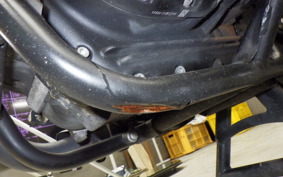 OTHER ENFIELD CLASSIC 350 2022