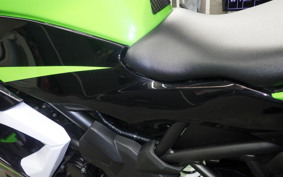 KAWASAKI NINJA 250 SL 2006 BX250A