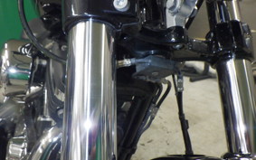 HARLEY XL1200XS 2020