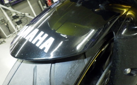 YAMAHA FZ1 FAZER 2006