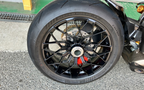 DUCATI  DUCATI S FIGHTER V4 RAN BORUGI- TWO  2024 4F00