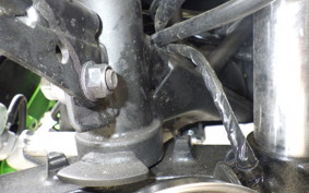 KAWASAKI NINJA 250 2 EX250Y