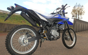 YAMAHA WR155R DG37