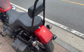 HARLEY FXBB 2019 YJJ