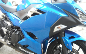 KAWASAKI NINJA 250 ABS EX250P