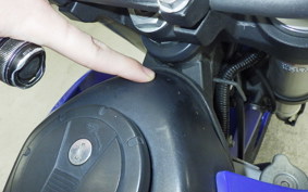 KAWASAKI KLX250D TRACKER X 2017 LX250V