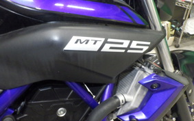 YAMAHA MT-25 RG43J