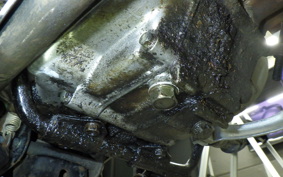 HONDA C50 SUPER CUB 2024 C50