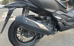 HONDA  FORZA 250 MF13