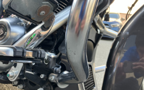 HARLEY  HARLEY FLHXSE CVO 2021 PXL