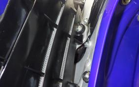 YAMAHA WR250R 2019 DG15J