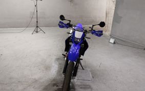 YAMAHA WR250X DG20
