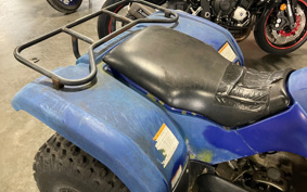 YAMAHA GRIZZLY125 AE03Y