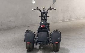 OTHER DENDOU TRIKE  ..