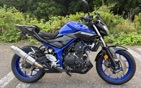 YAMAHA MT-25 RG43J