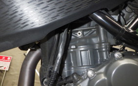 KTM 250 ADVENTURE 2024