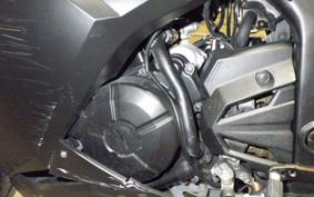 KAWASAKI NINJA 250 2021 EX250L