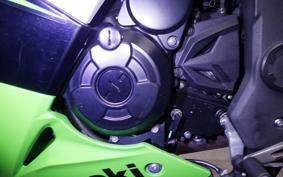 KAWASAKI NINJA 250 SL 2014 BX250A