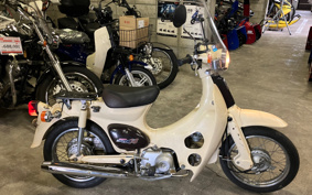 HONDA LITTLE CUB C50