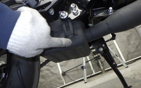 BENELLI レオンチーノ250 2024