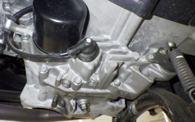 HONDA FAZE A 2023 MF11