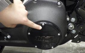 HARLEY FXLRST1920 2025
