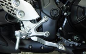 YAMAHA MT-25 A RG74J