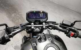 YAMAHA FZ-X RG73