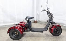 HONDA  BLAZE EV TRIKE  DMJC
