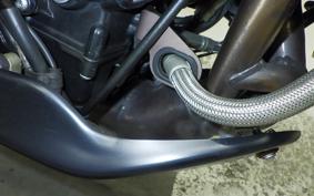 MV AGUSTA BRUTALE 800 DS RR 2020