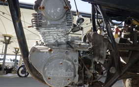 KAWASAKI Z250 FS KZ250R