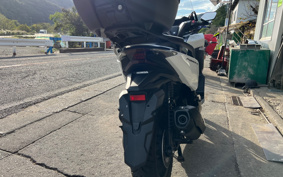 HONDA FORZA 250 MF13