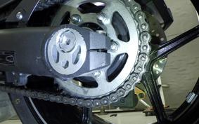 KAWASAKI NINJA 1000 SX 2024 ZXT02K