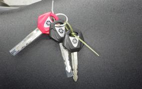 YAMAHA XSR900 GP 2024 RN96J