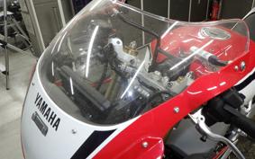 YAMAHA XSR900 GP 2025 RN96J