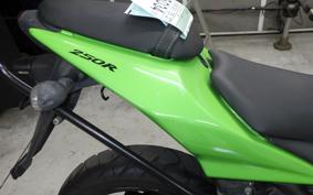 KAWASAKI NINJA 250R 2002 EX250K