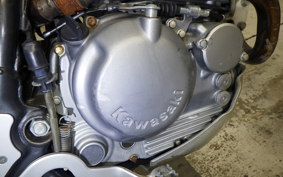 KAWASAKI SUPER SHERPA