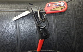 DUCATI SCRAMBLER ICON 2015