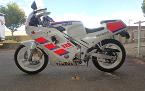 YAMAHA FZR250 2KR