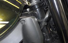 KAWASAKI Z900RS 2021