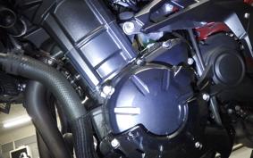 KAWASAKI Z900 Gen.2 2021 ZR900B