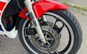 YAMAHA RZ250RR 29L