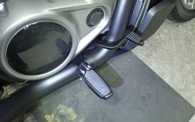 HARLEY RH975S 2023