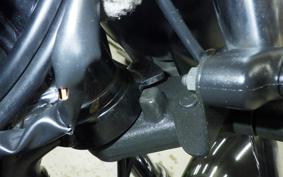 SUZUKI GRASS TRACKER Bigboy 2020 NJ4BA