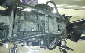 KAWASAKI KLX250D TRACKER X 2021 LX250V