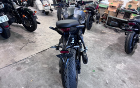 TRIUMPH TIGER SPORT 800 2026 L25P18