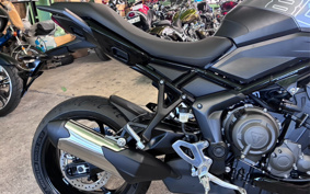 TRIUMPH TIGER SPORT 800 2026 L25P16