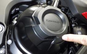 KAWASAKI NINJA 1000SX 2024 ZXT02K