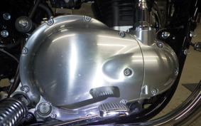 KAWASAKI W800 2024 EJ800E